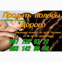Продать куплю волосы дорого Днепр Киев Харьков Одесса