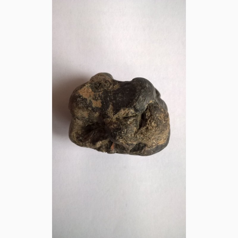 Фото 3. Метеорит