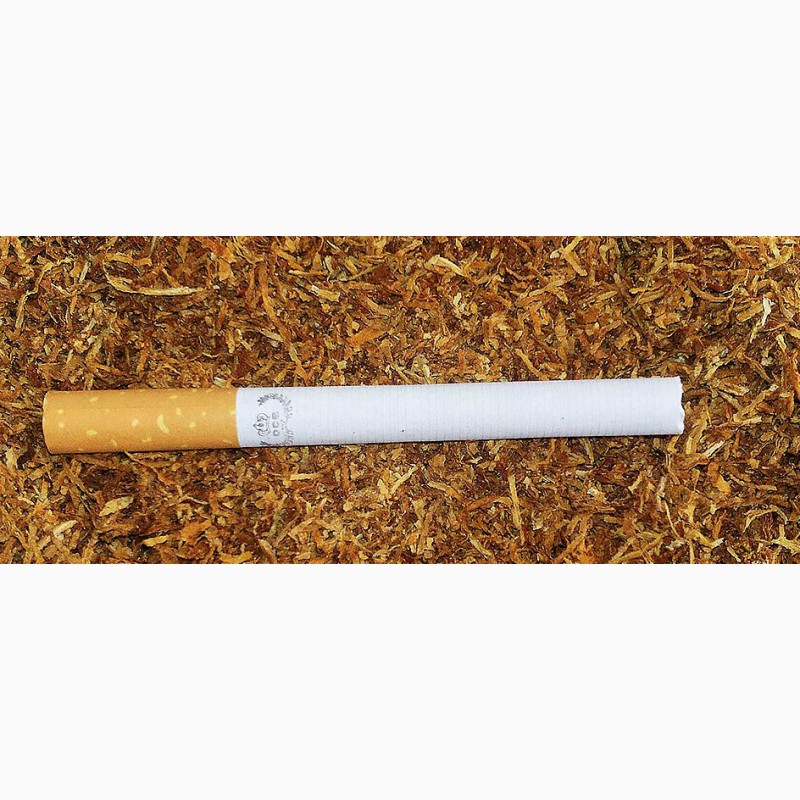 Фото 2. Табак от 1 кг Вирджиния голд, Берли, Тернопольский