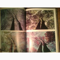Продам книгу- Фотографирование живой природы, К.Престон-Мэфем1985 года
