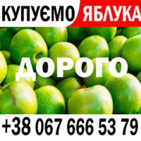 Куплю яблоко на сік Ціна 11, 20 грн Доставка постачальника на м. БАР