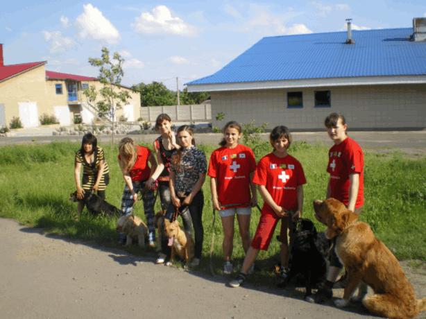 Выгул собак в Донецке и Макеевке