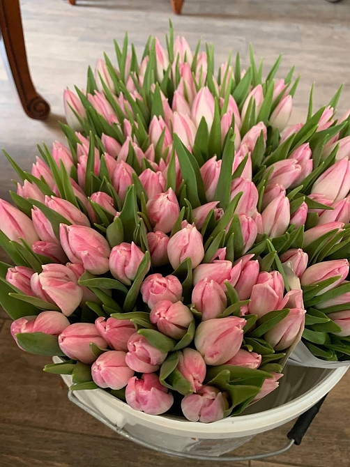 Фото 4. Тюльпани опт, 8 березня, квіти