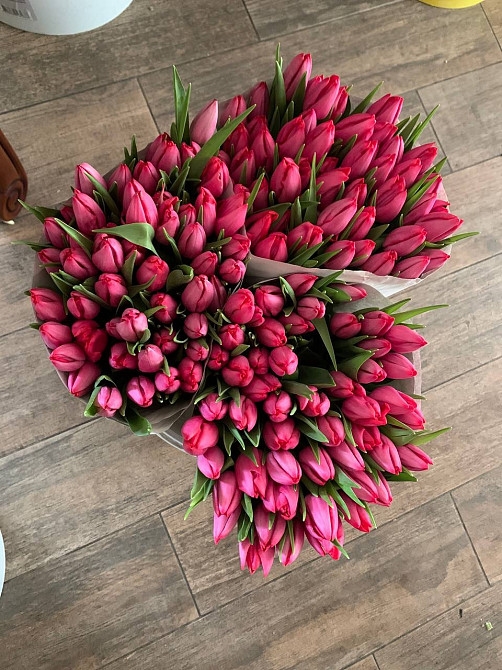 Фото 5. Тюльпани опт, 8 березня, квіти