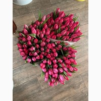 Тюльпани опт, 8 березня, квіти