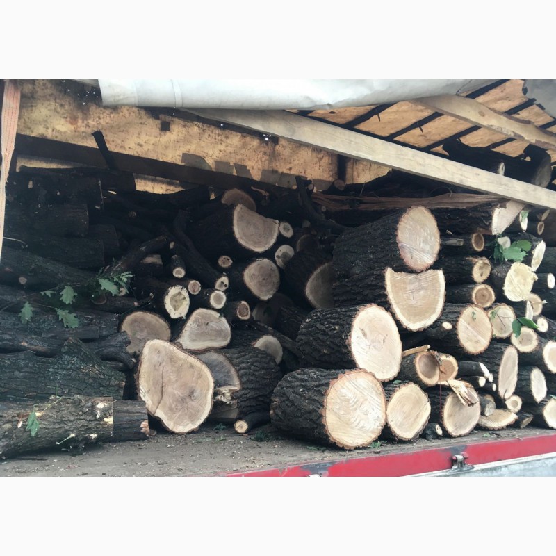 Фото 3. Продам в больших количествах дрова твердых пород (дуб, ясень, акация), фруктовые дрова