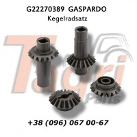 G22270389 Конічна пара шестерень 2+2 Gaspardo