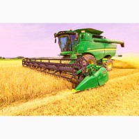 СРОЧНО Продам пшеницу 3-класс 2000т урожай 2021-22 самовывоз