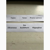 Виконуємо послуги по сушці ягід та лікрослин