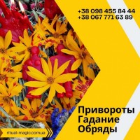 Помощь Целительницы Медиума в Киеве. Снятие Порчи в Киеве