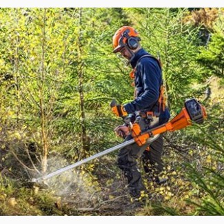 Работа для мужчин в лесных угодьях в Эстонии
