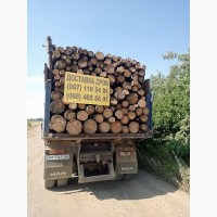 Продажа дров и угля с доставкой