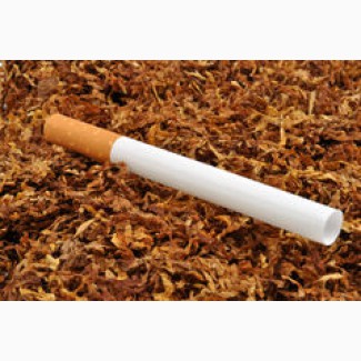 Табак Virginia, Berli, отличное качество, опт розница