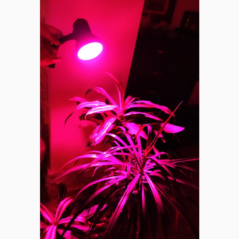 Фото 5. Фитолампа 80 LED для растений. 80 светодиодов полный спектр 6 Вт 220V