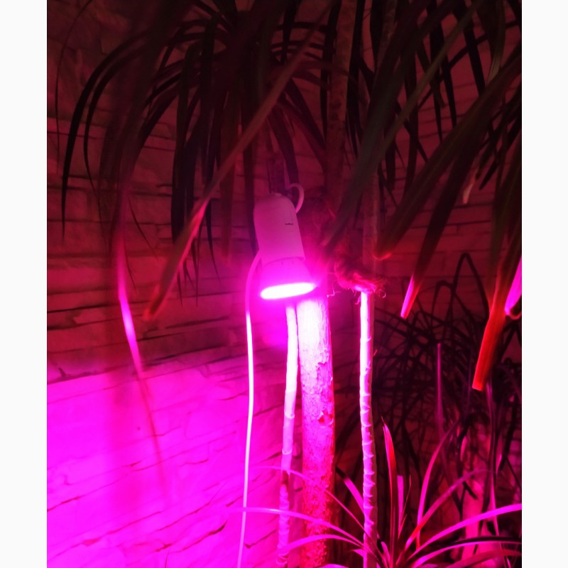 Фото 7. Фитолампа 80 LED для растений. 80 светодиодов полный спектр 6 Вт 220V