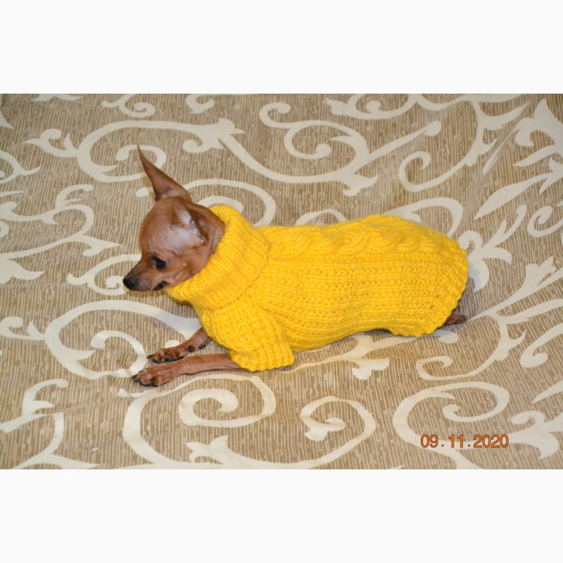 Фото 10. Одежда для миниатюрных Собак любого пола Ручное вязание
