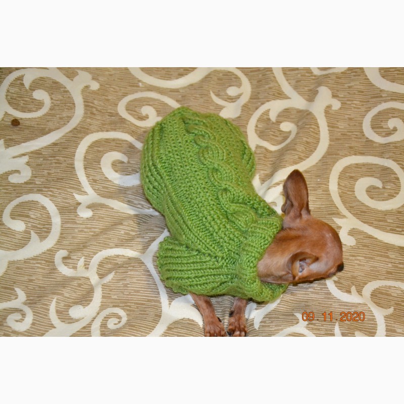 Фото 13. Одежда для миниатюрных Собак любого пола Ручное вязание