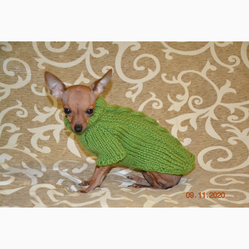 Фото 14. Одежда для миниатюрных Собак любого пола Ручное вязание