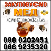 Закупаем мед в Черкасской, Кировоградской обл. ОПТ-МЕД