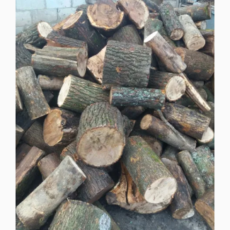 Дрова Луцьк купити дрова твердої породи в Луцьку