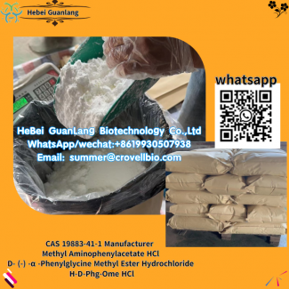 R)-(-)-2-Phenylglycine Methyl Ester Hydrochloride supplier (summer at crovcellbio com)