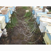 Система обогрева ульев пчел SOTA 10 Basis Plus
