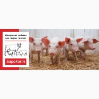 Мінеральна добавка для свиней всіх вікових груп Сапокорм