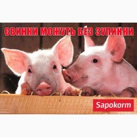 Мінеральна добавка для свиней всіх вікових груп Сапокорм