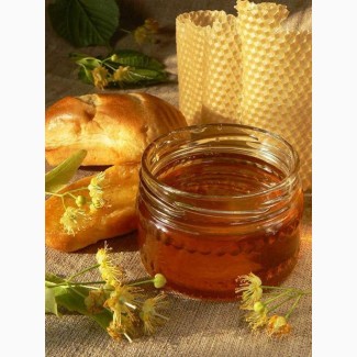 Продам мед лісовий