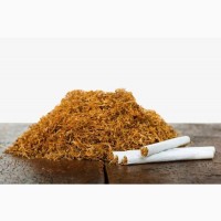 Табак, тютюн оптом Ферментированный Отличное качество хорошая цена