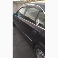 Наклейка на авто-мото Питбуль Черная, Белая светоотражающая
