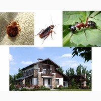 Обробка відкритих територій від кліщів, комарів, мурах та ін