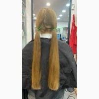 Салон краси у Луцьку скуповує натуральне волосся від 35 см до 125000 грн