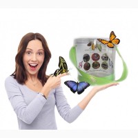 Ферма бабочек - набор из 5 шт