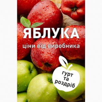 Продам яблука