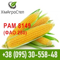 Насіння гібриду кукурудзи РАМ 8149 (ФАО 280)