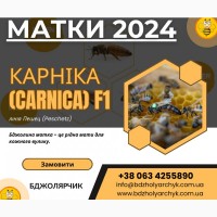 Бджоломатки Карніка F1 2024