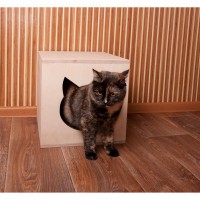 Домик для кошки, кота из шлифованной фанеры продам, Харьков, доставка