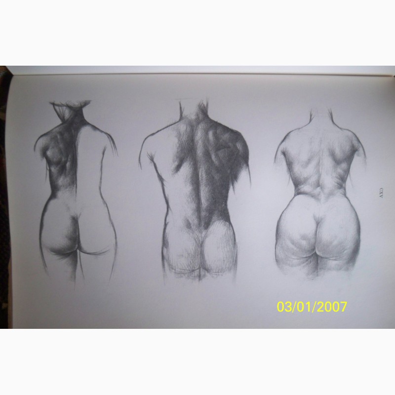 Фото 2. Учебник по рисованию тела.автор-Яне Барчаи (Венгрия )