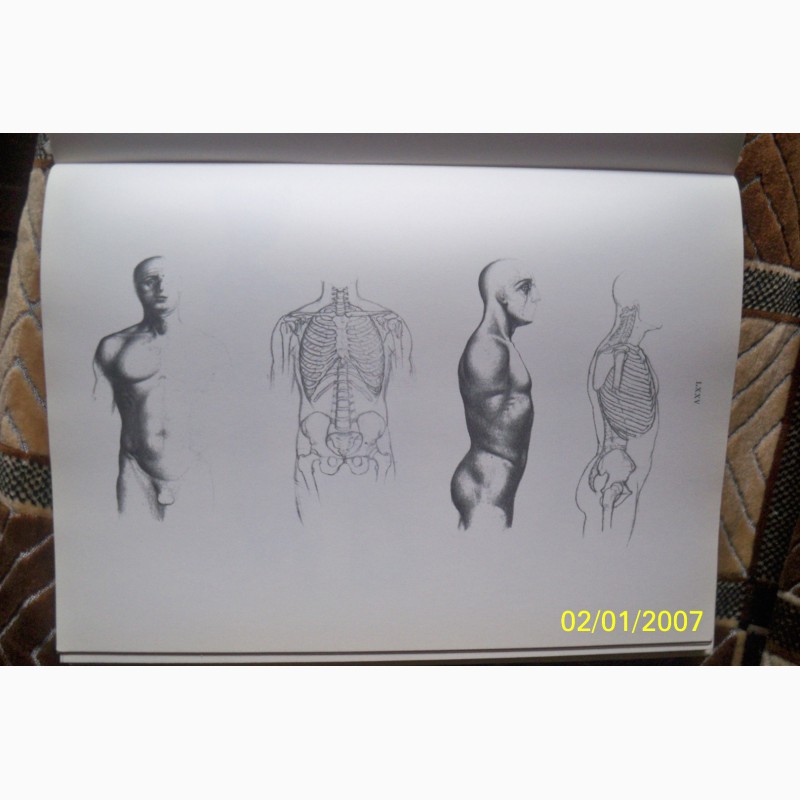 Фото 3. Учебник по рисованию тела.автор-Яне Барчаи (Венгрия )