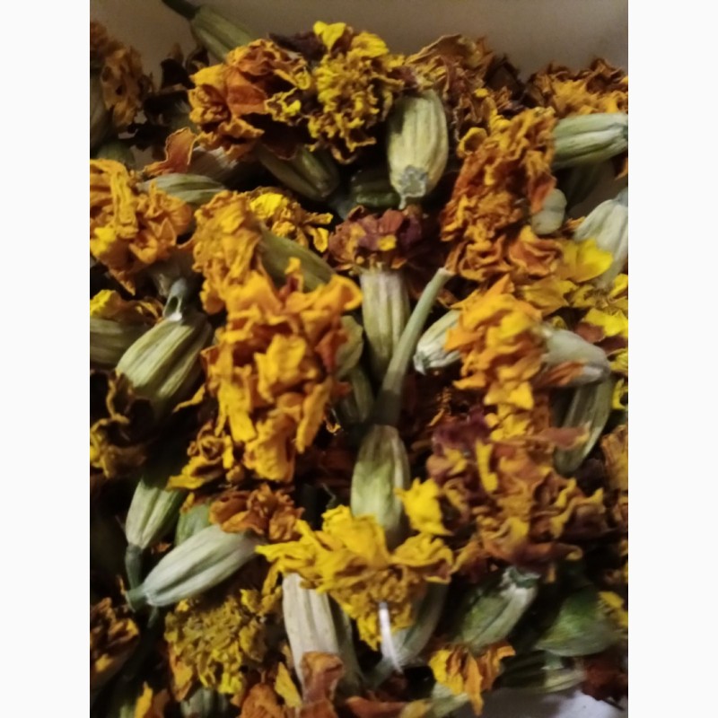 Фото 3. Квіти корзинки чорнобривці сухі бархатцы