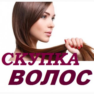 Скупка волос в Павлограде очень дорого