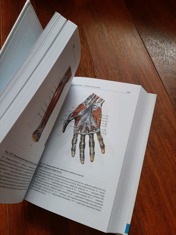 Фото 7. Атлас анатомии человека. Учебное пособие для высших медицинских учебных заведений Самусев