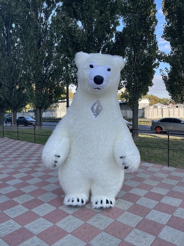 Фото 7. Начните продвижение с надувным костюмом белого медведя
