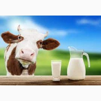 Оптовая продажа молока
