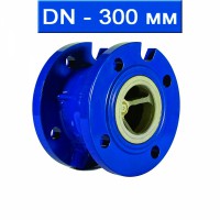 Клапан обратный подпружиненный фланцевый DN 300, чугунный/ до +130 С / EPDM / PN16