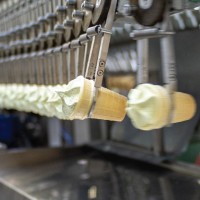 Работа для мужчин и женщин на фабрике мороженого в Чехии