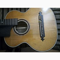 Двогрифова старовинна гітара