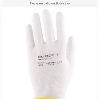 Перчатки рабочие Buddy Evo