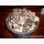 Мухомор ПАНТЕРНИЙ (Amanita Pantherina), сушені шляпки